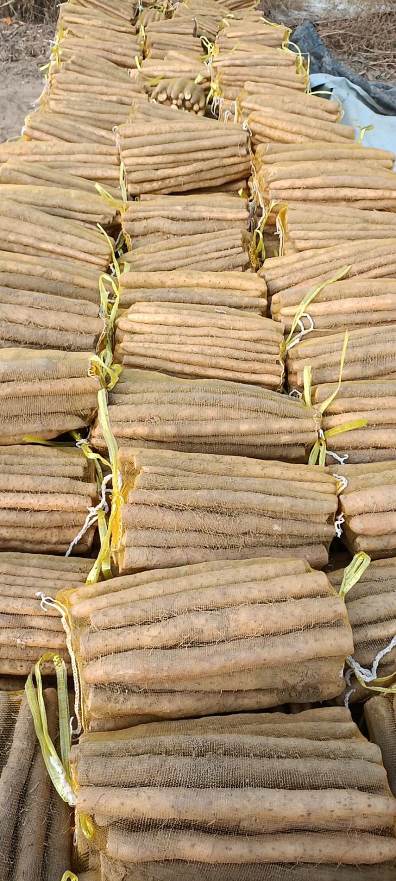 【山药】精品铁棍山药量大优惠质量上乘全国发货