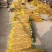 【山药】精品铁棍山药量大优惠质量上乘全国发货