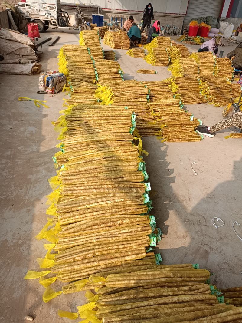 【山药】精品铁棍山药量大优惠质量上乘全国发货