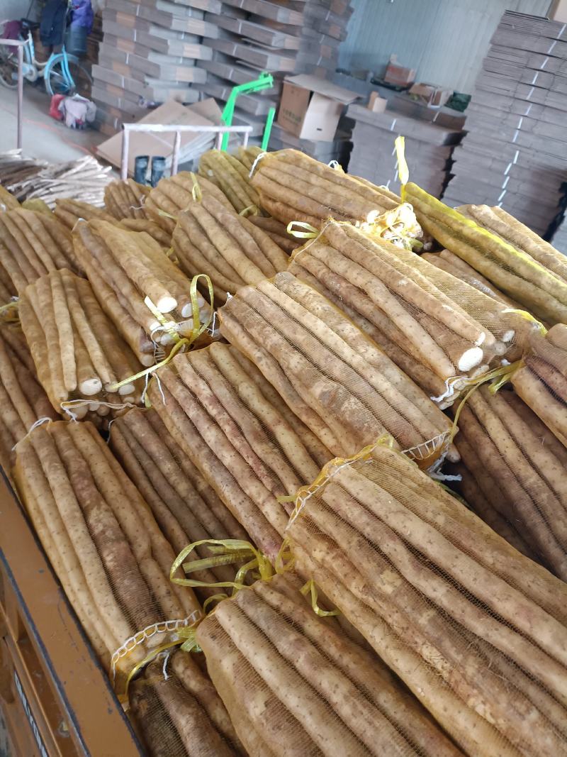 【山药】精品铁棍山药量大优惠质量上乘全国发货