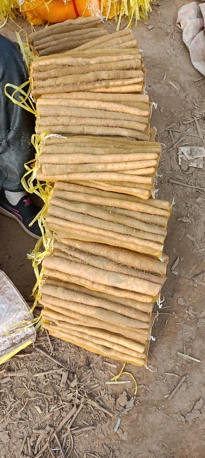 【山药】精品铁棍山药量大优惠质量上乘全国发货
