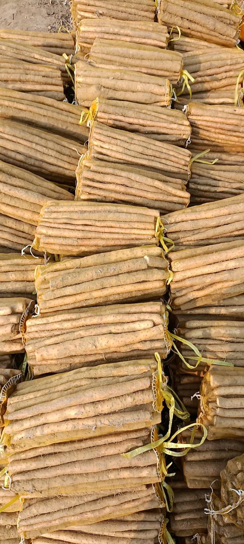 【山药】精品铁棍山药量大优惠质量上乘全国发货