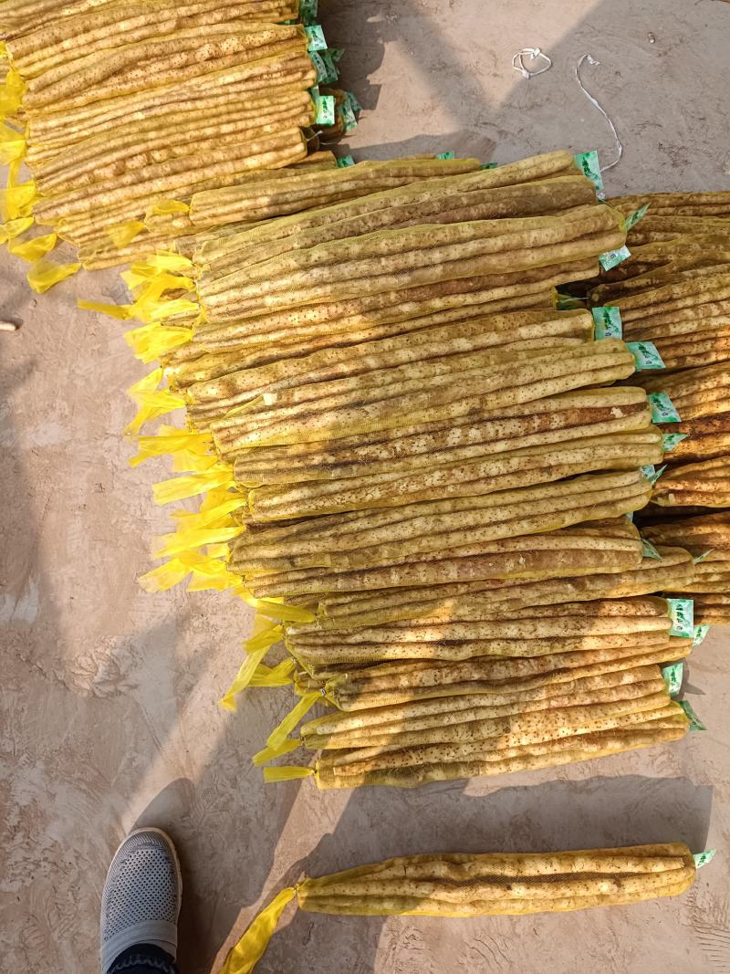 【山药】精品铁棍山药量大优惠质量上乘全国发货