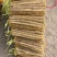 【山药】精品铁棍山药量大优惠质量上乘全国发货