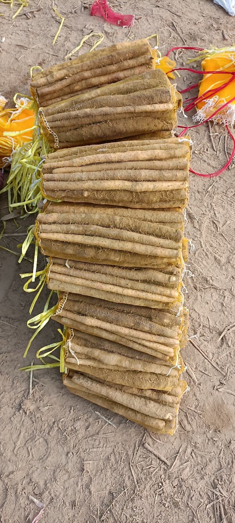 【山药】精品铁棍山药量大优惠质量上乘全国发货