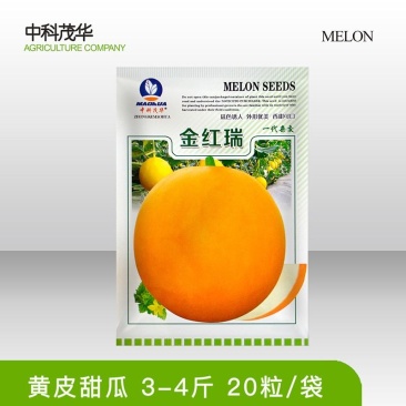 金红瑞厚皮甜瓜种子，黄皮白肉，甜度19，细腻多汁