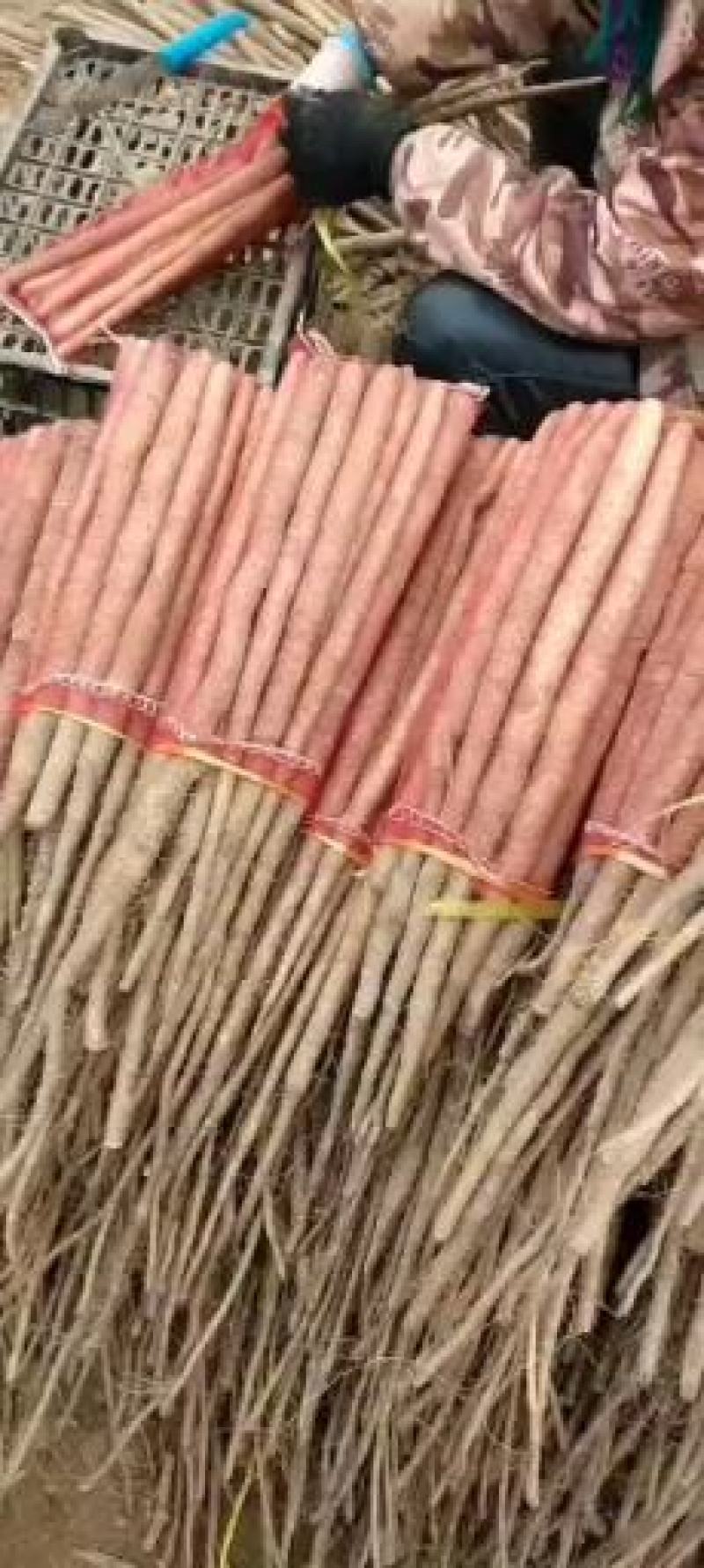 【山药】巴中精品铁棍山药质量无忧口感软糯欢迎选购