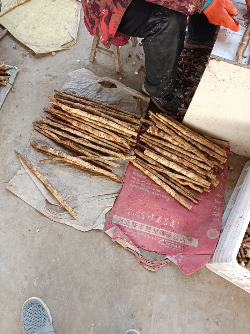 【山药】巴中精品铁棍山药质量无忧口感软糯欢迎选购