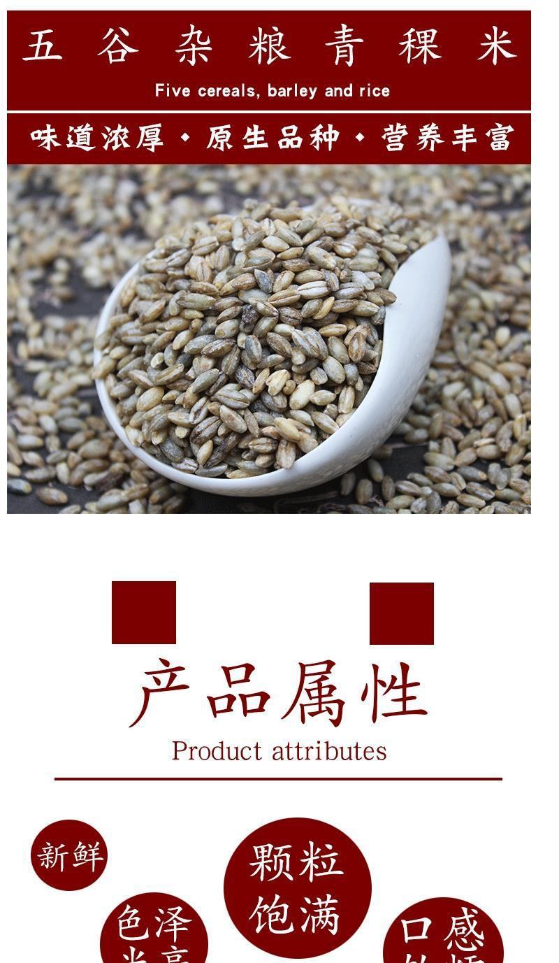 青稞米新货蓝青稞米麦仁青藏高原青稞仁煮粥五谷整箱包邮