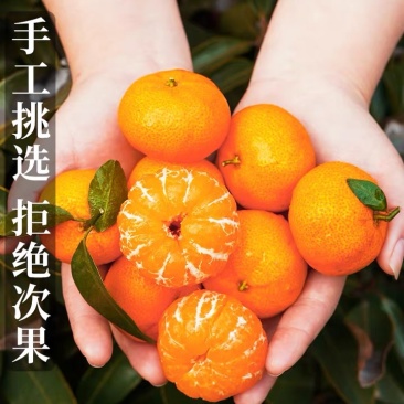 沙糖桔，上市了，有兴趣搞第一刀的，可以联系我了。