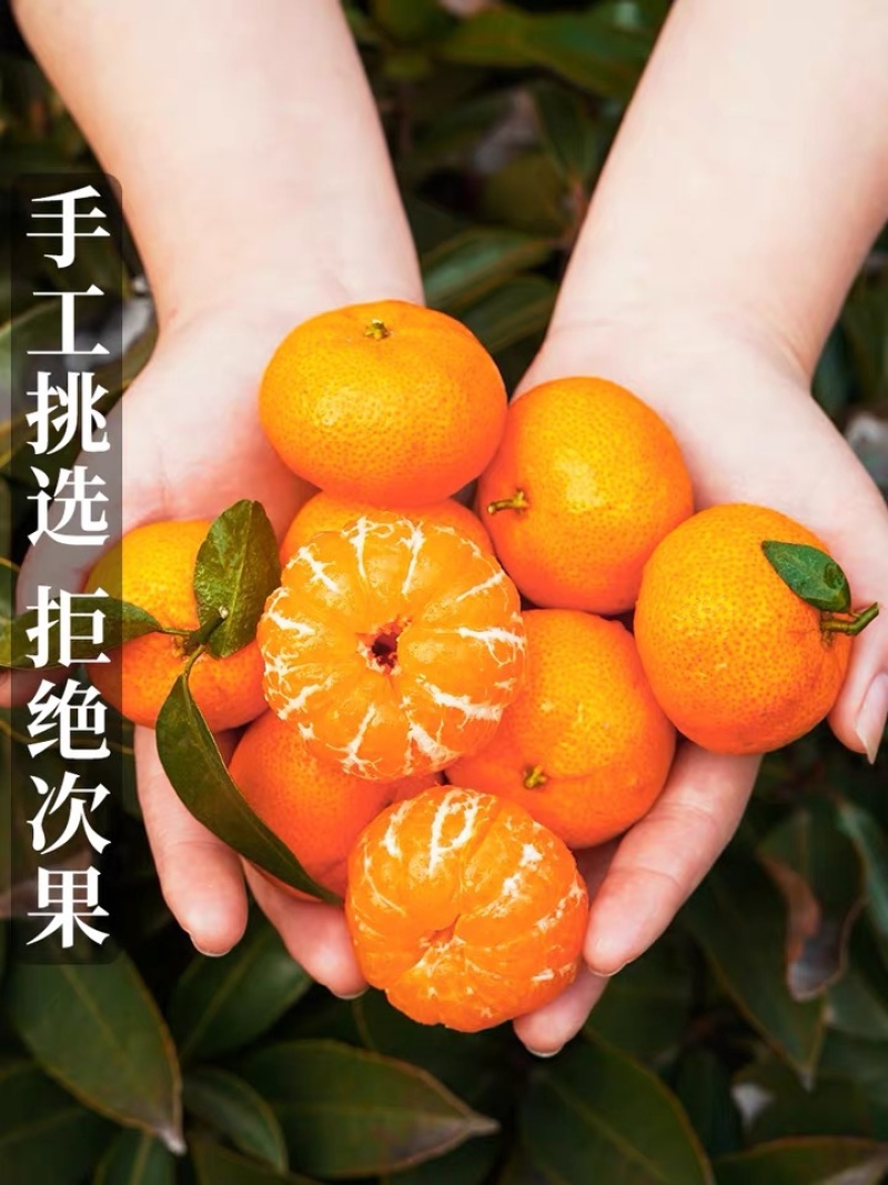 沙糖桔，上市了，有兴趣搞第一刀的，可以联系我了。