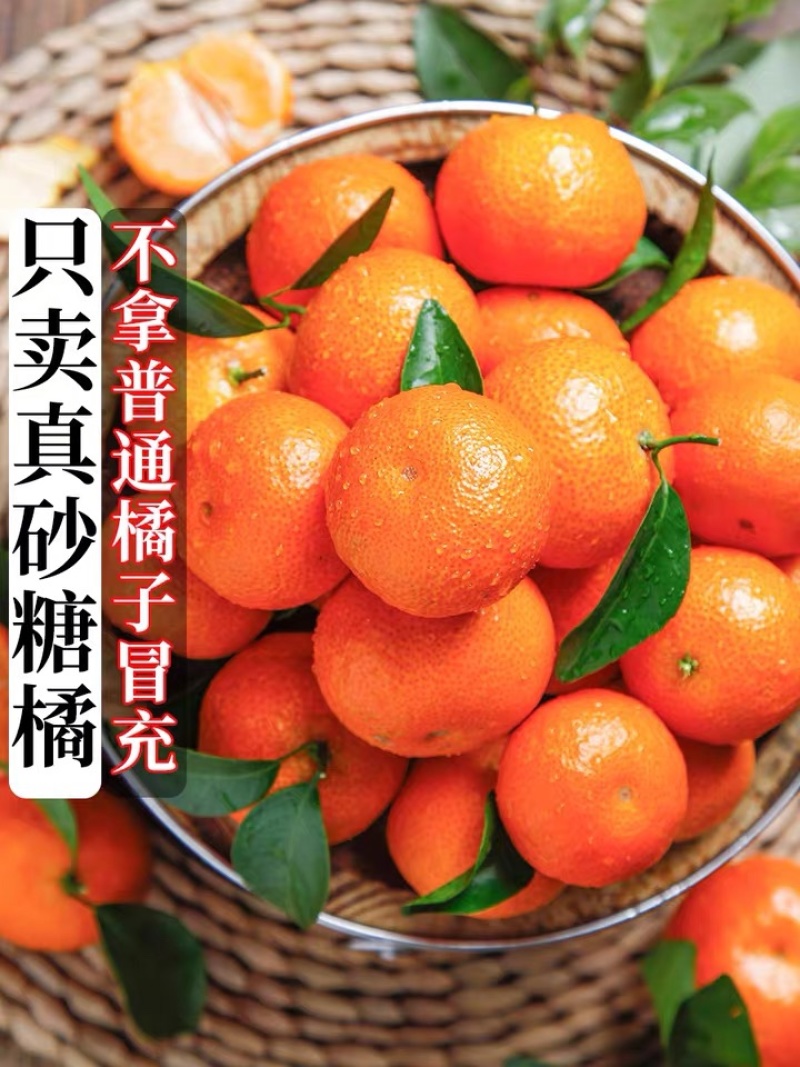 沙糖桔，上市了，有兴趣搞第一刀的，可以联系我了。