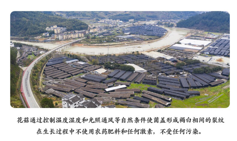 可定制菇丝菇粒菇粉及原料干净无杂质出口品质