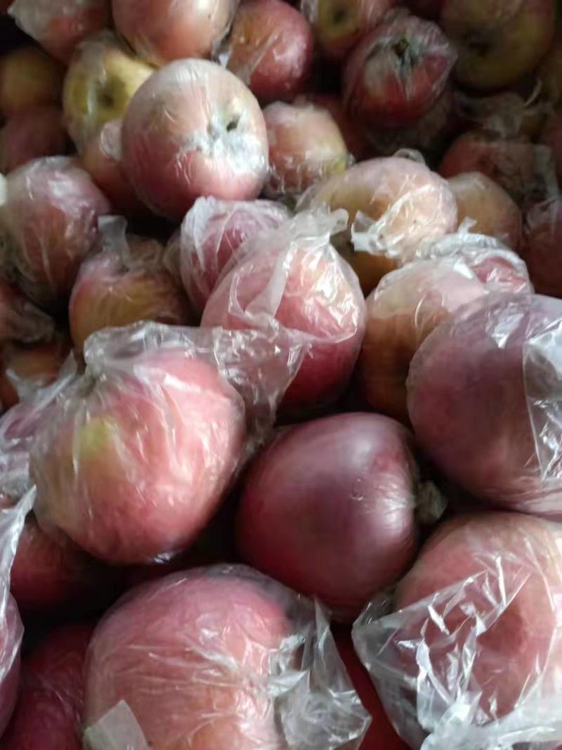 膜袋红富士苹果产地发货，甜美可口，欢迎采购