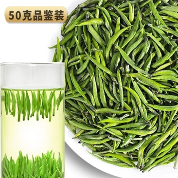 绿茶雀舌2023新茶贵州湄潭翠芽嫩芽毛尖特级浓香型散袋装