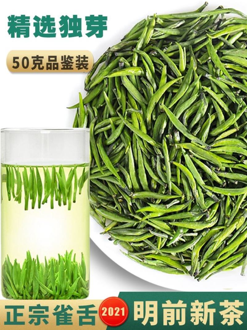 绿茶雀舌2023新茶贵州湄潭翠芽嫩芽毛尖特级浓香型散袋装