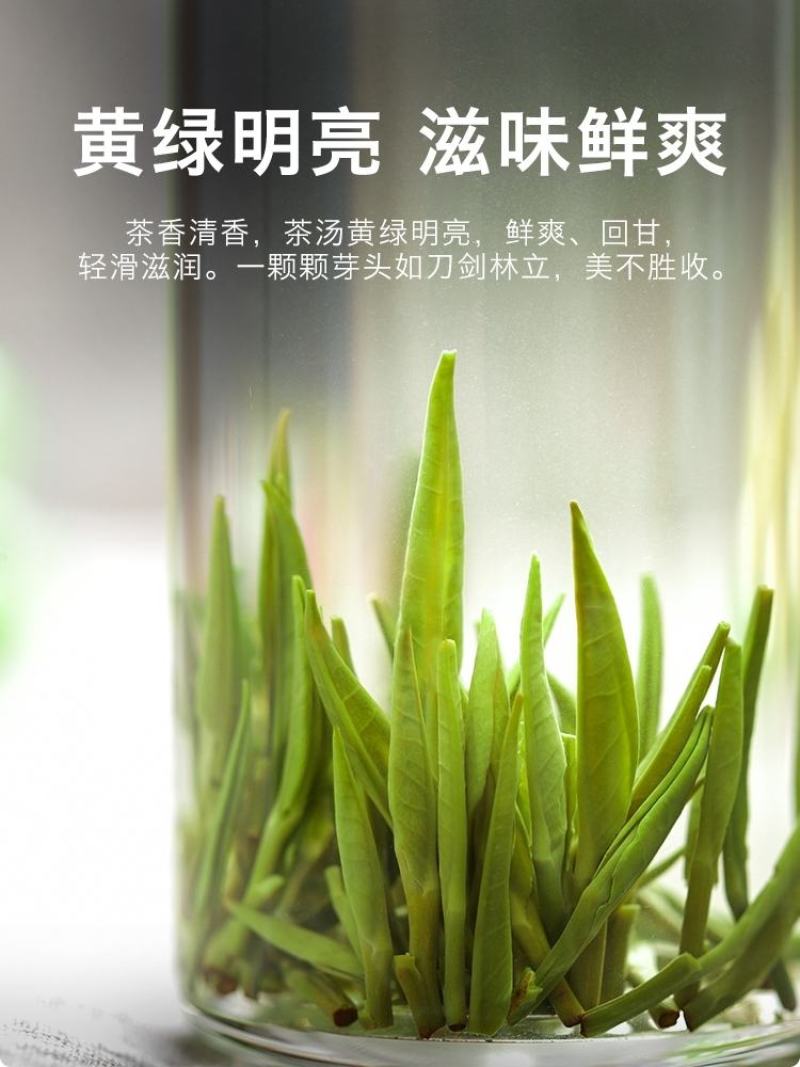 绿茶雀舌2023新茶贵州湄潭翠芽嫩芽毛尖特级浓香型散袋装