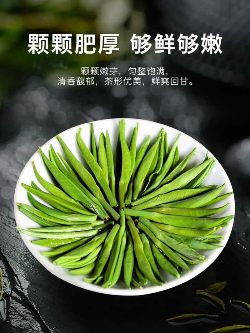 绿茶雀舌2023新茶贵州湄潭翠芽嫩芽毛尖特级浓香型散袋装