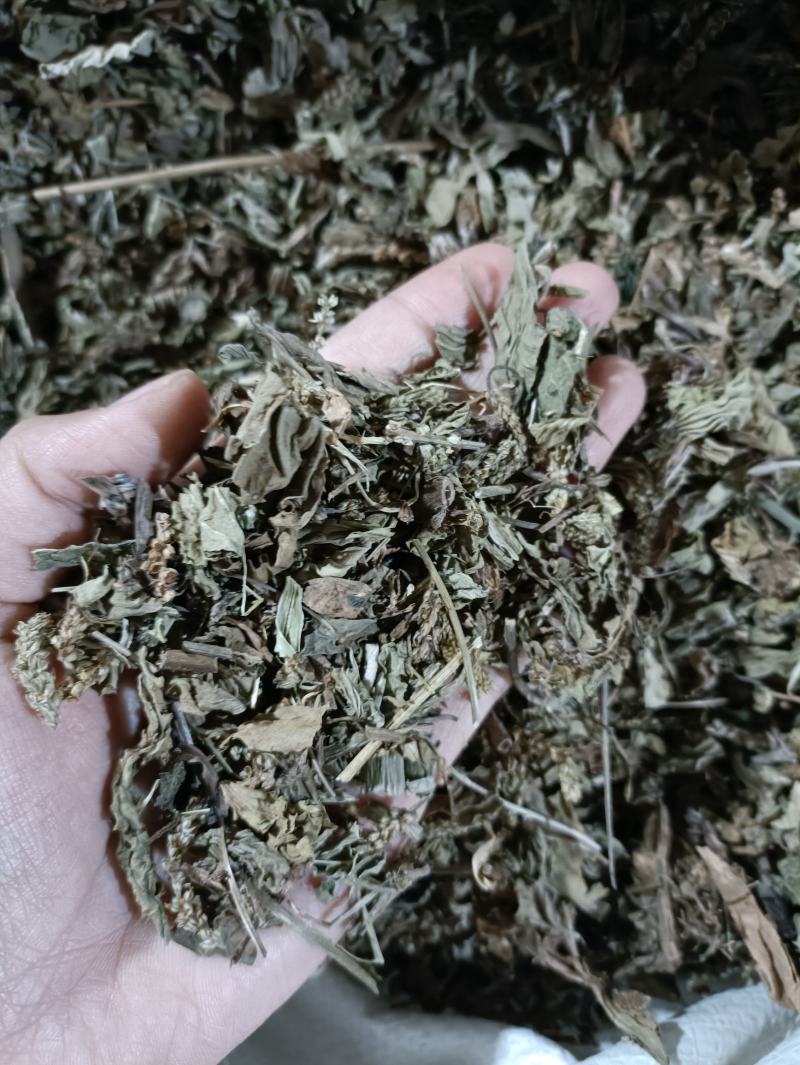 车前草新货颜色好纯干货供应各种中药材