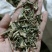 穿心莲穿心草颜色好新货过筛供应各种中药材
