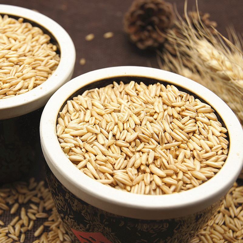 【产地直】新米燕麦米东北农家自产全胚芽燕麦米麦粮