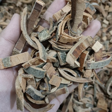 【秦皮】好统货新货颜色好货干供应各种中药材