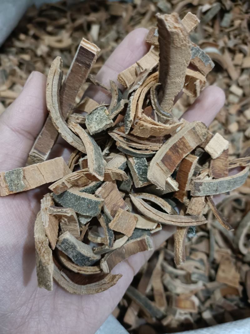 【秦皮】好统货新货颜色好货干供应各种中药材
