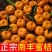湖南南丰蜜橘大量上市中,果园基地现货直供,颜色口感好