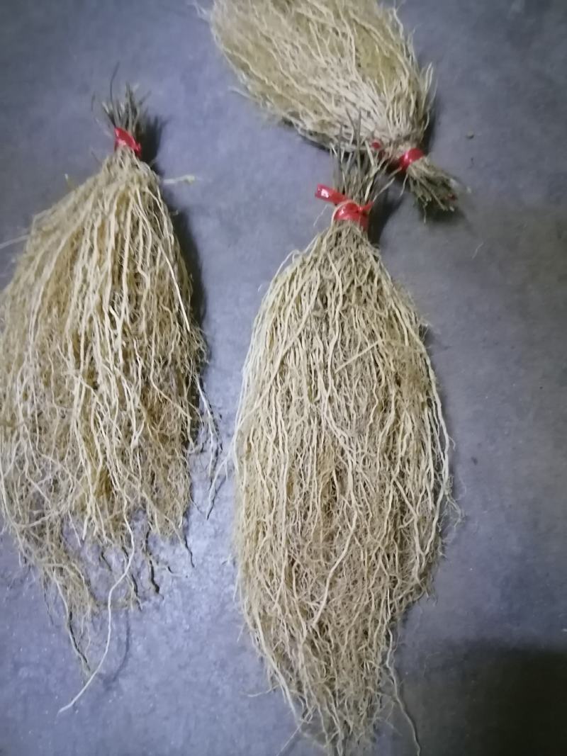 徐长卿纯根部有售这种质量的货少需要要的老板抓紧一亩田下单