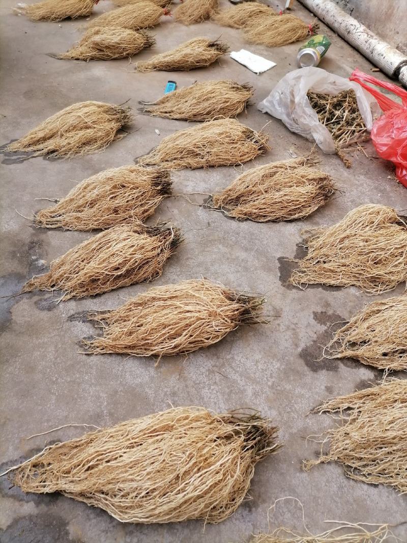 徐长卿纯根部有售这种质量的货少需要要的老板抓紧一亩田下单