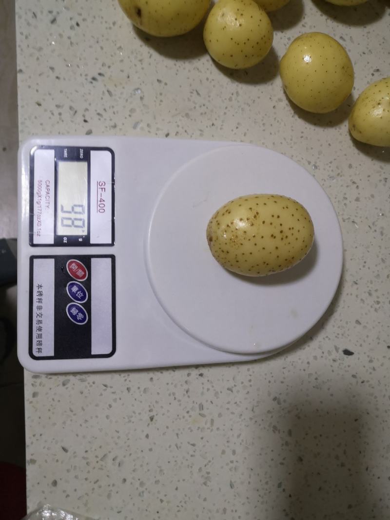 陕北沙地V7土豆，2两-4两中薯，产地直发大量现货，个电