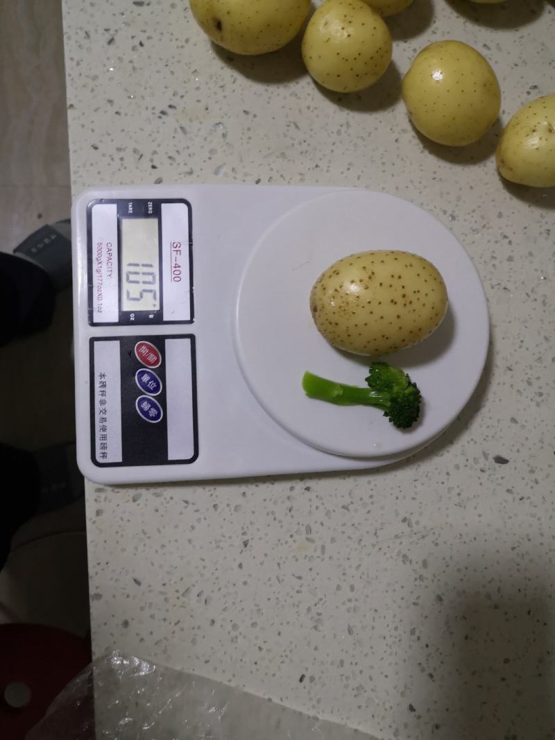 陕北沙地V7土豆，2两-4两中薯，产地直发大量现货，个电