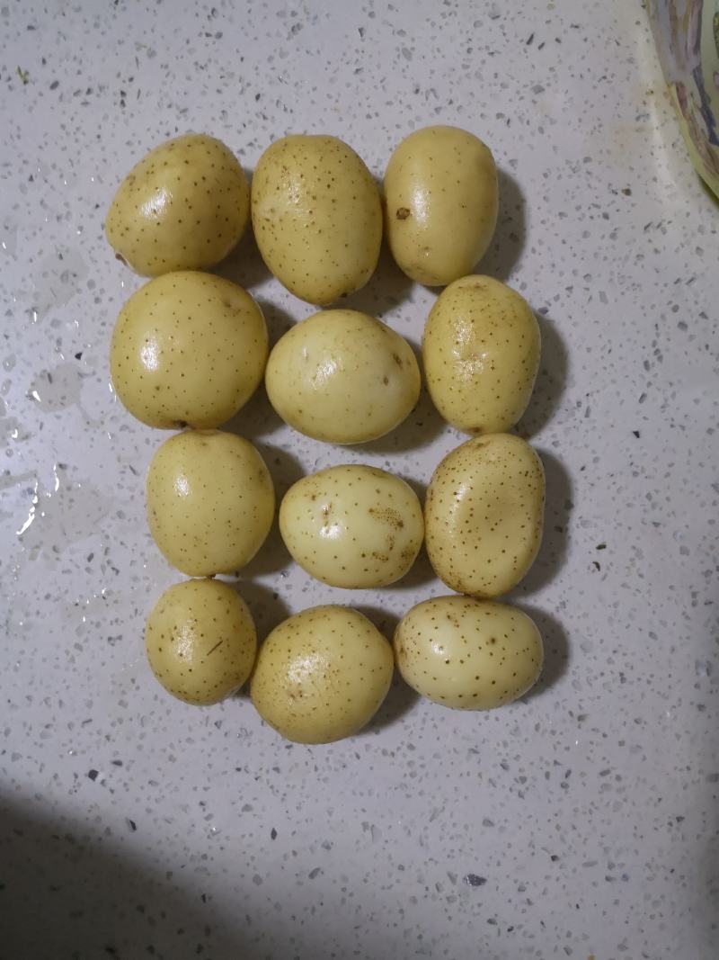 陕北沙地V7土豆，2两-4两中薯，产地直发大量现货，个电