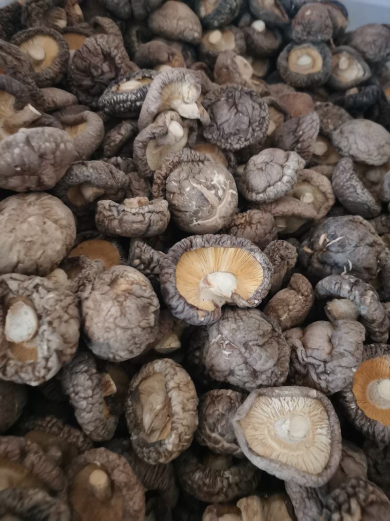 【干香菇】特级小香菇产地直供一手货源量大从优对接批发市