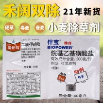 阔世玛小麦除草剂拜耳二磺·甲碘隆野燕麦雀麦花黑麦草除草剂