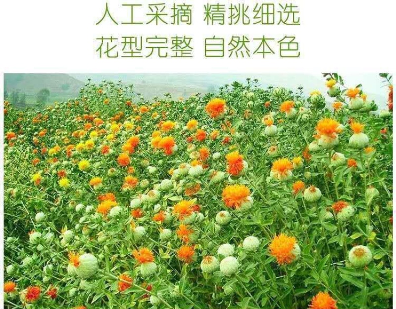 红花