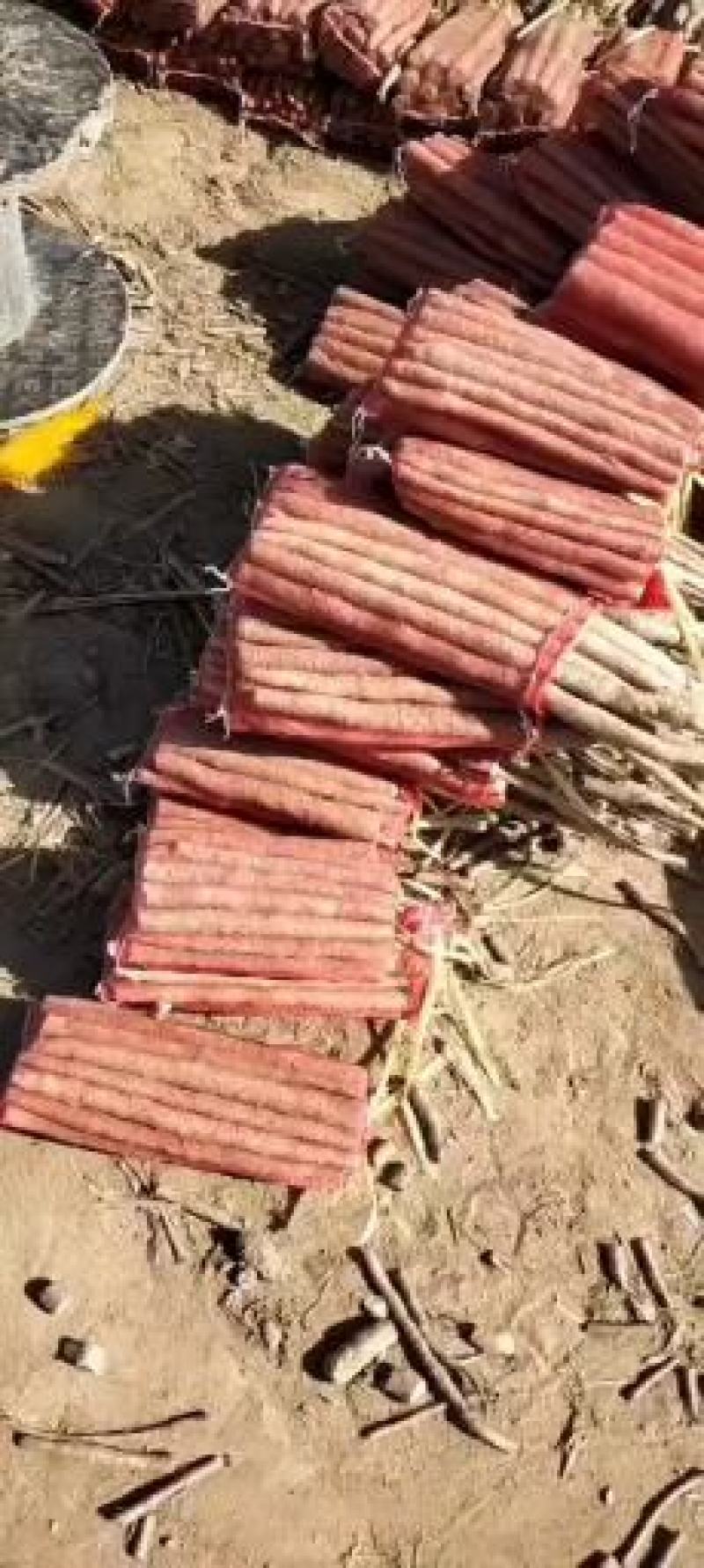 河北本地双棒山药/一手货源/量大价优/欢迎咨询/