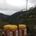 农村土蜂蜜，一年收一次，