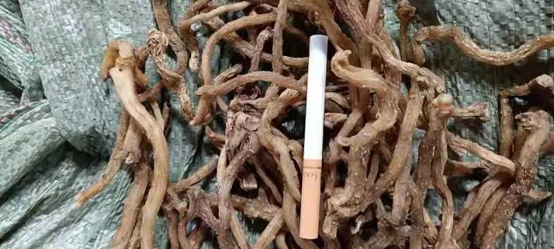 【畅销】熟晒玉竹，大量供应，欢迎全国采购商咨询联系