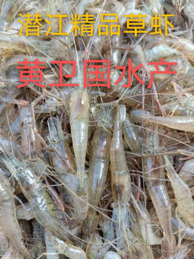 鲜活米虾优质河虾精品草虾