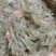 鲜活米虾优质河虾精品草虾