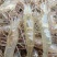鲜活米虾优质河虾精品草虾