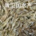 鲜活米虾优质河虾精品草虾