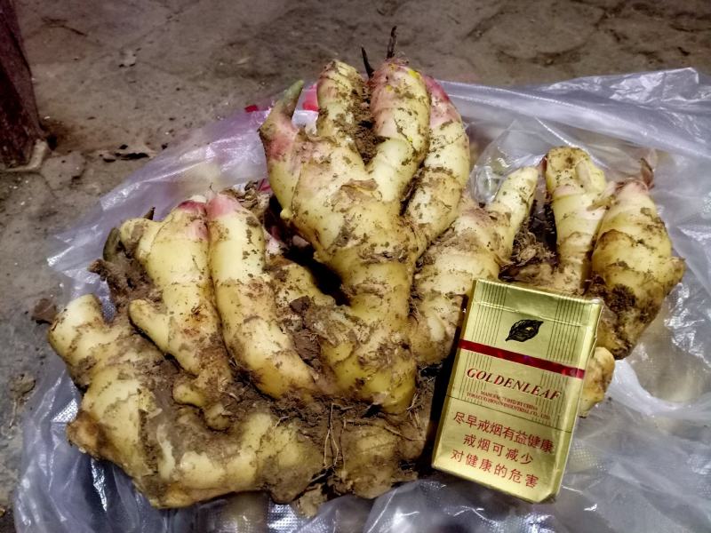 大姜