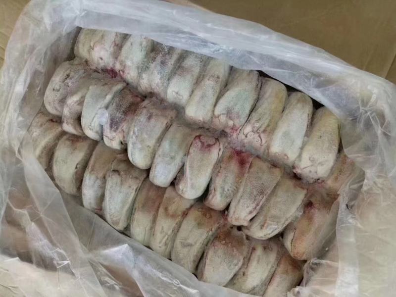 鲜冻驴口条马口条驴舌头颜色鲜质量优全程冷链运输欢迎选购
