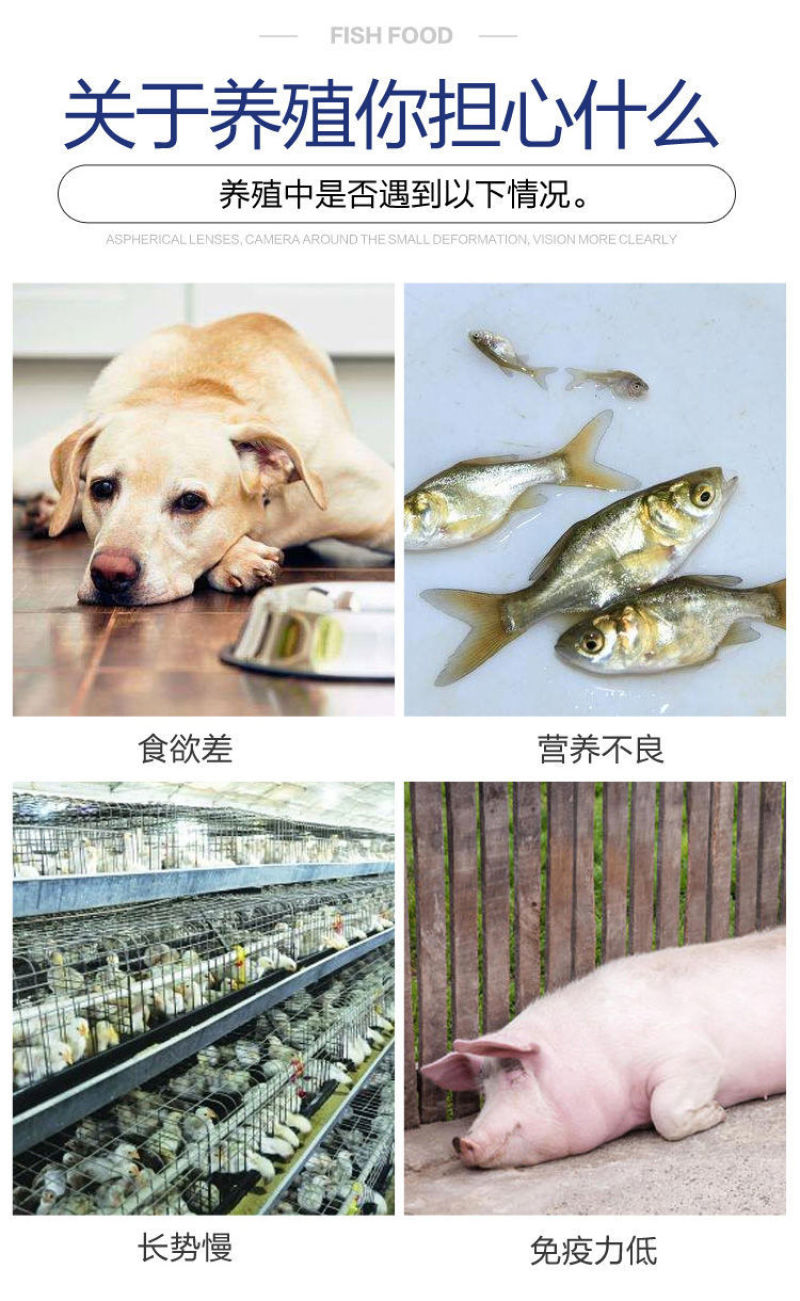 秘鲁进口鱼粉饲料养殖家禽兽用饲料原料添加剂