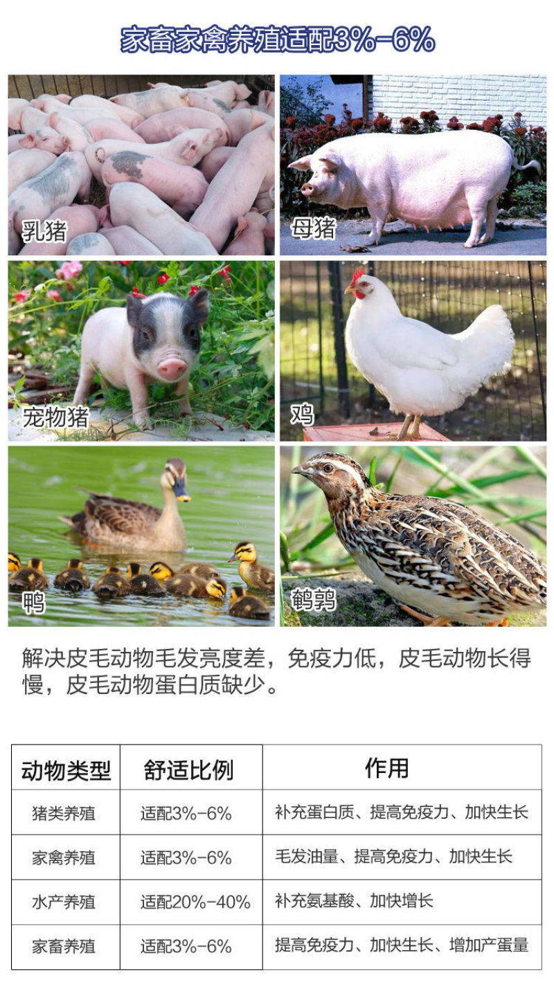 秘鲁进口鱼粉饲料养殖家禽兽用饲料原料添加剂