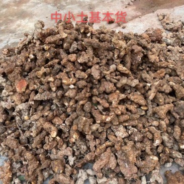 本地土茯苓中小统货3两以下