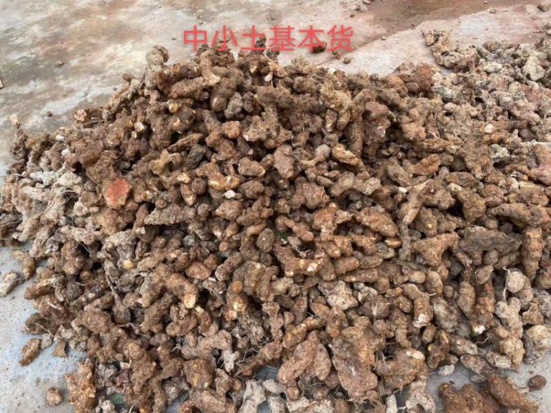 本地土茯苓中小统货3两以下