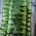 云南精品优质叶菜冷库精包装意大利油麦上海青夏黄白